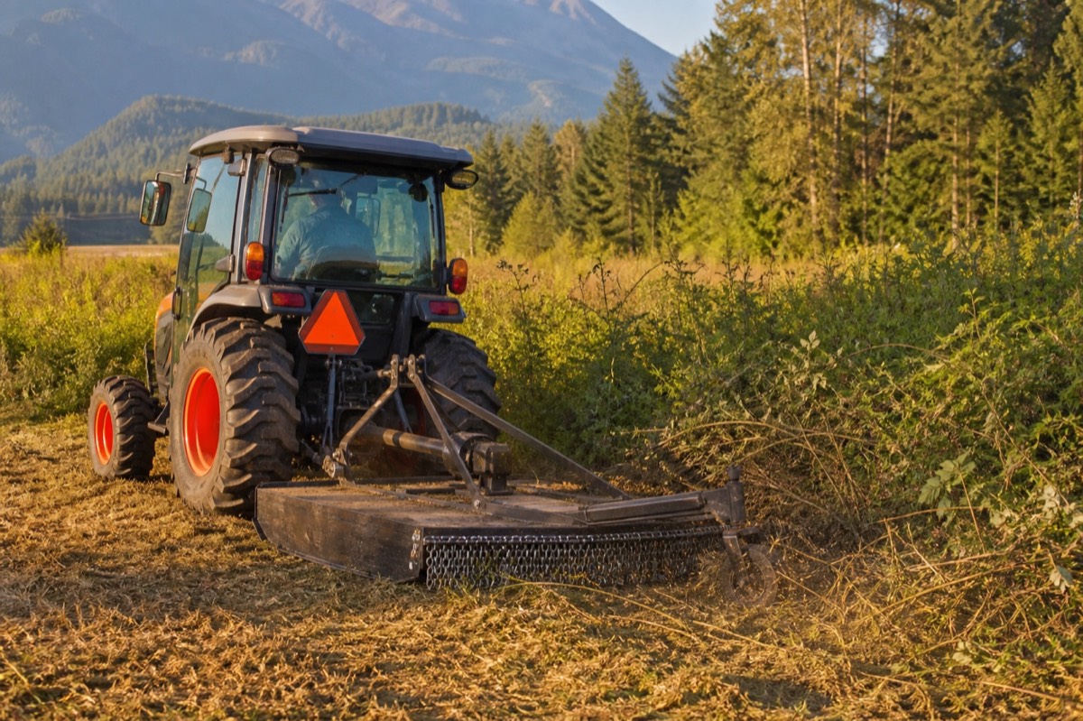 Service illustration of a compact tractor brush mowing a field edge